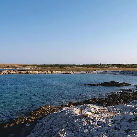 Apartment Cozy In With Wifi *